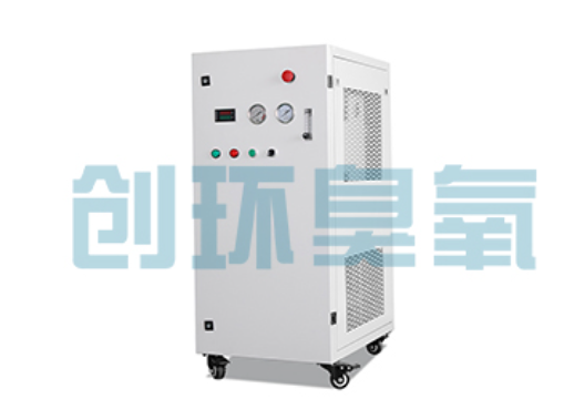 吴桥石斑鱼养殖水质调控完整指南：臭氧发生器配置与操作步骤